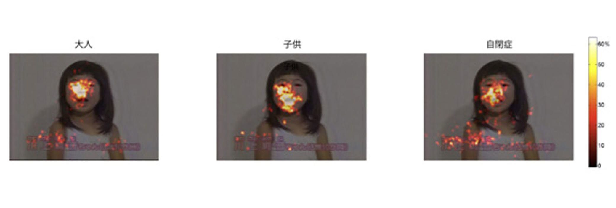 A heatmap showing the attention distribution.