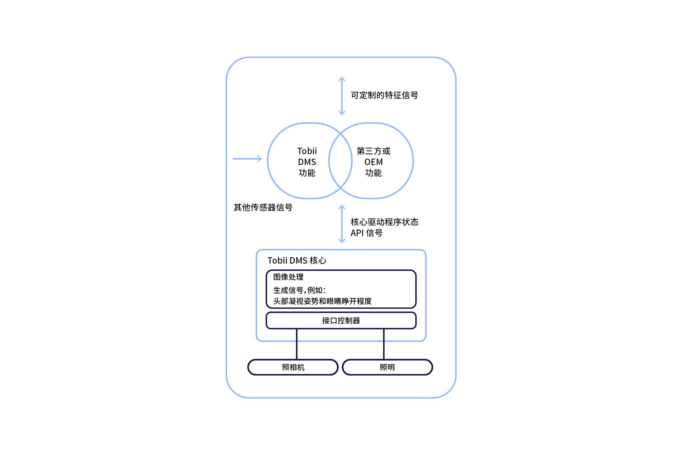 Tobii DMS image processing CH